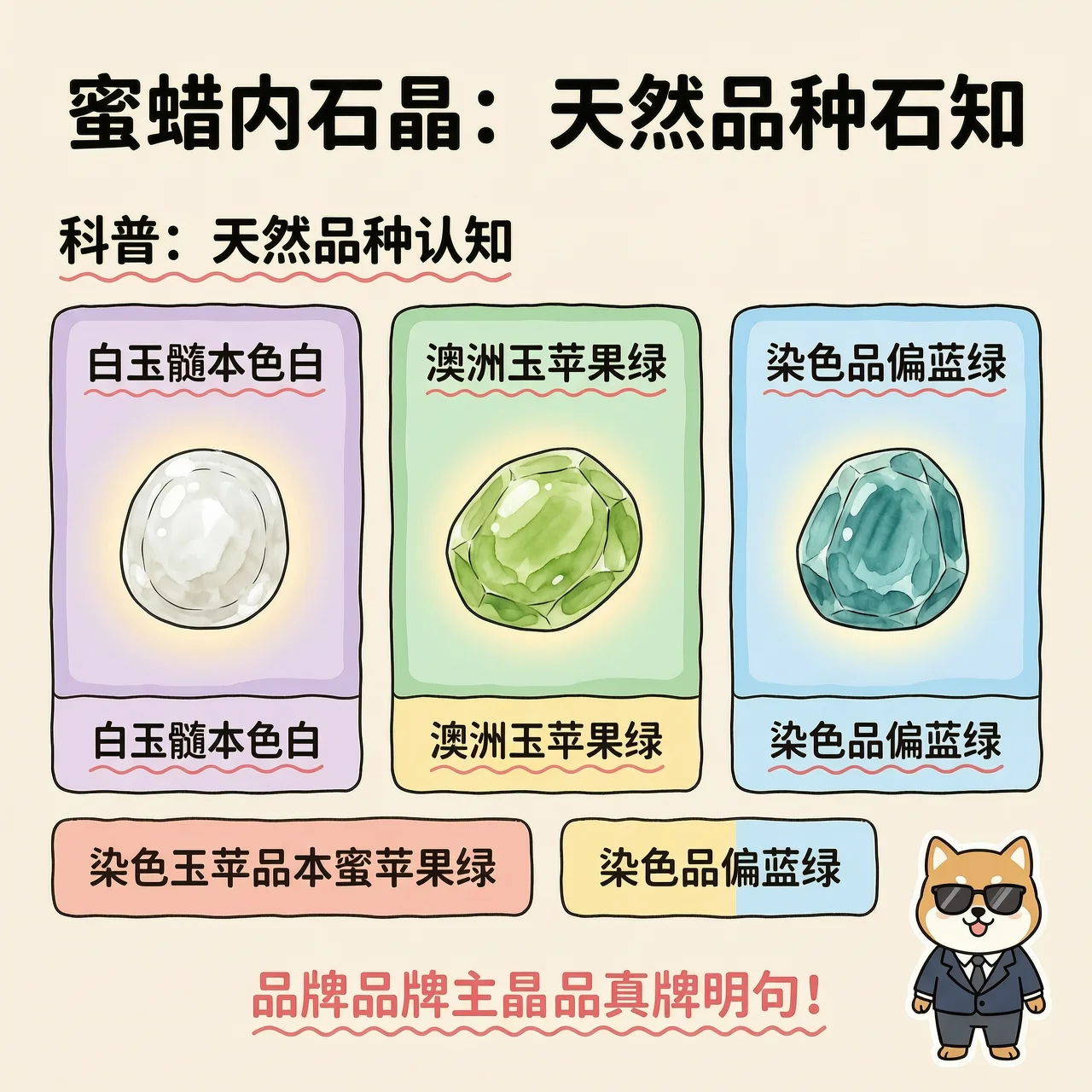 塑料仿品